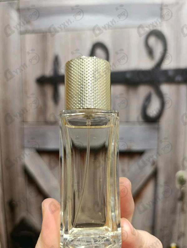 Купить Pour Femme от Lacoste