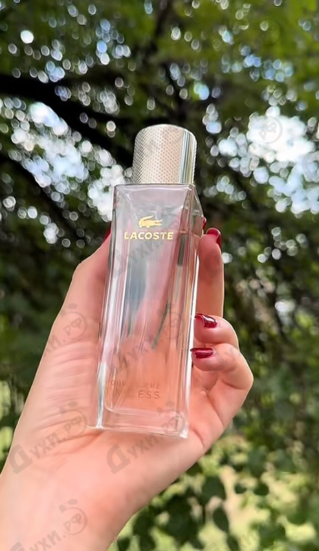 Отзыв Lacoste Pour Femme