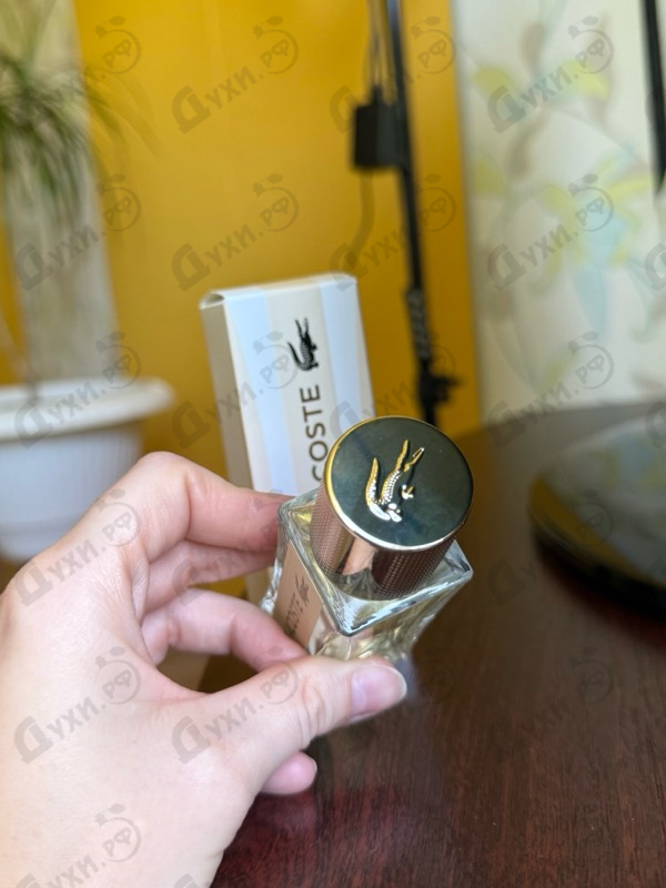 Купить Pour Femme от Lacoste