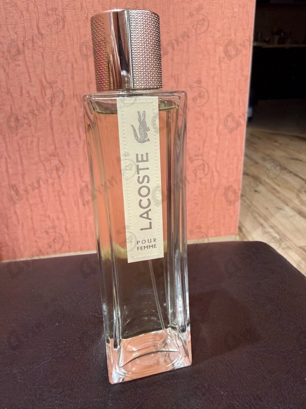 Купить Pour Femme от Lacoste