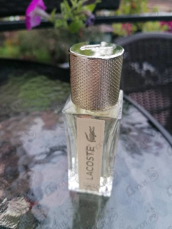 Купить Pour Femme от Lacoste