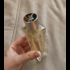 Отзывы Lacoste Pour Femme