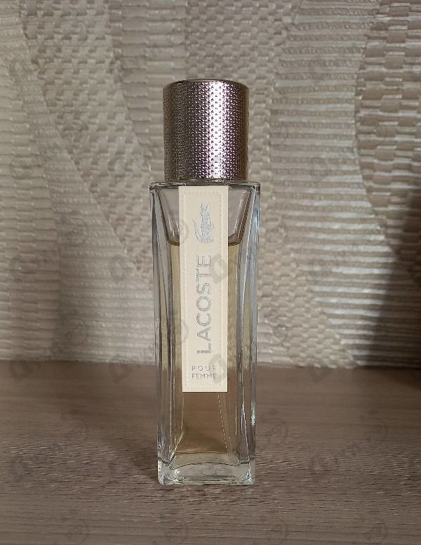 Купить Pour Femme от Lacoste