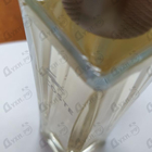 Отзывы Lacoste Pour Femme