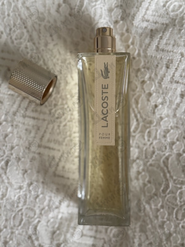 Купить Lacoste Pour Femme
