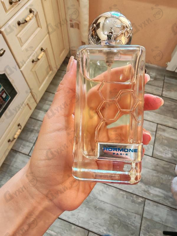 Купить Gaba от Hormone Paris