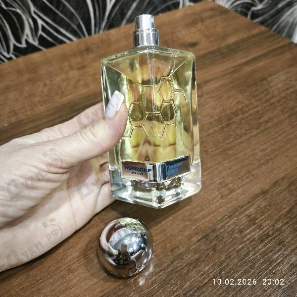 Купить Hormone Paris Gaba