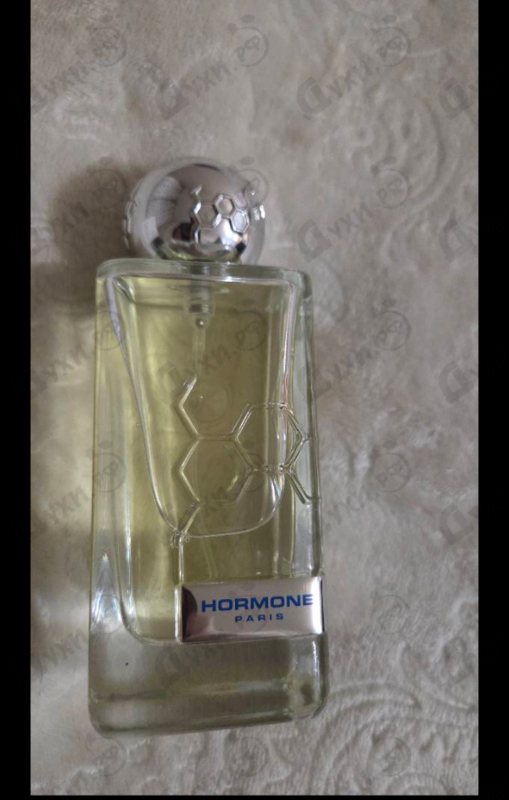 Купить Hormone Paris Gaba