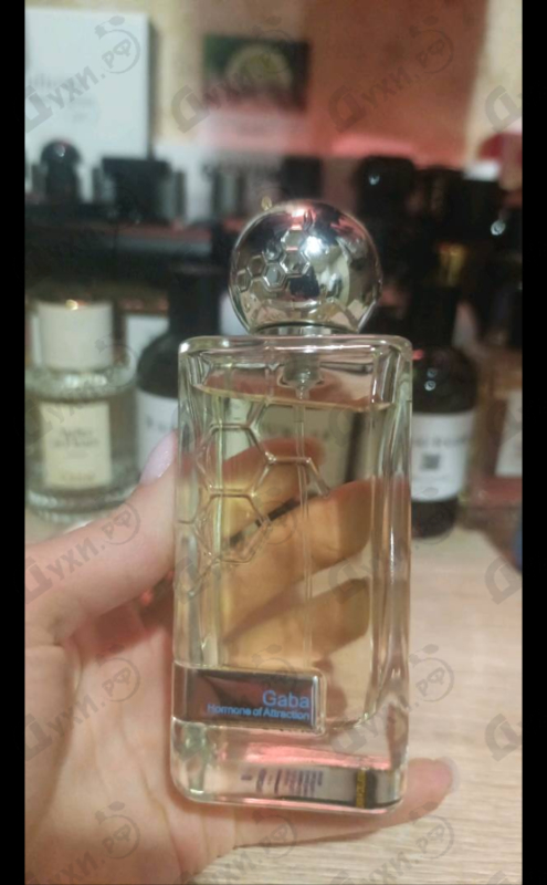 Парфюмерия Gaba от Hormone Paris