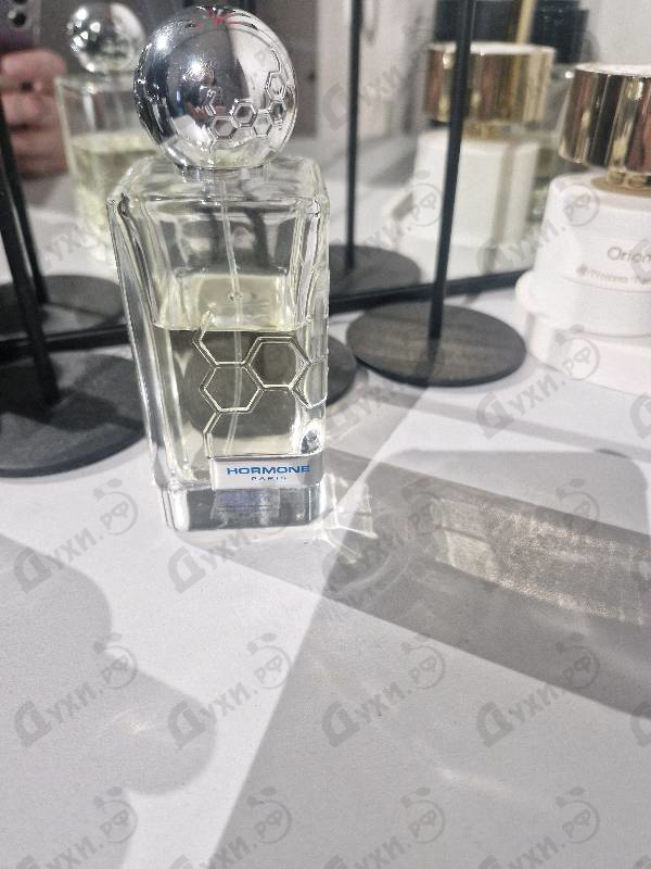 Парфюмерия Gaba от Hormone Paris