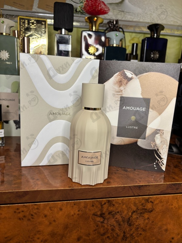 Купить Lustre от Amouage