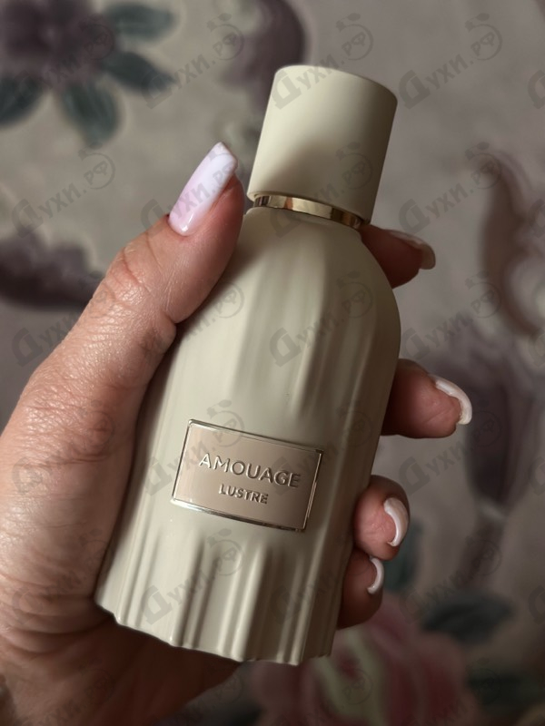 Отзыв Amouage Lustre