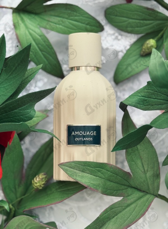 Парфюмерия Amouage Outlands