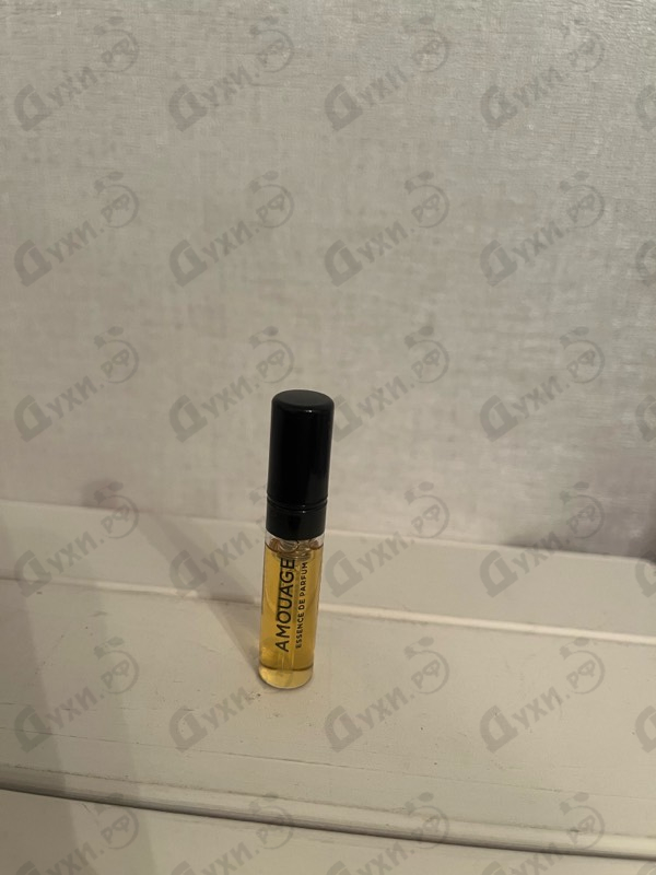 Купить Outlands от Amouage