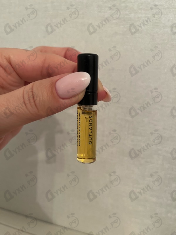 Купить Outlands от Amouage