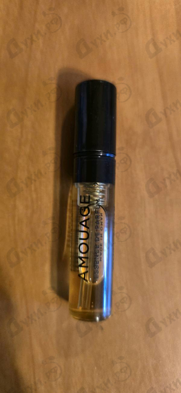 Купить Outlands от Amouage