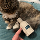 Отзыв Amouage Outlands