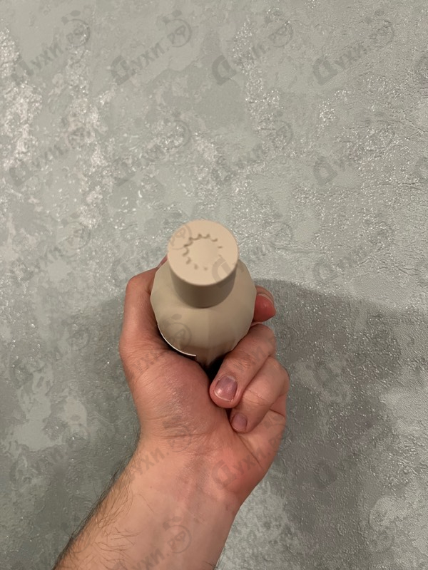 Купить Outlands от Amouage