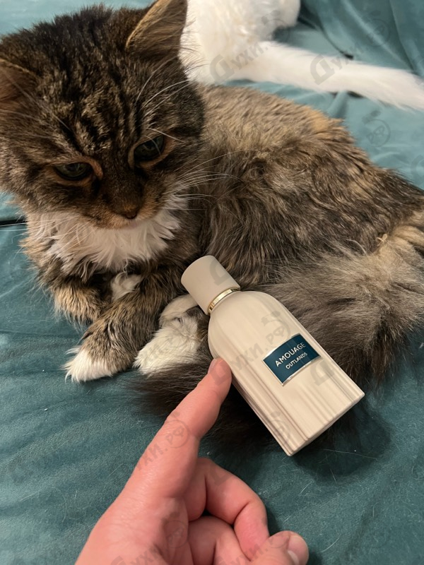 Духи Outlands от Amouage