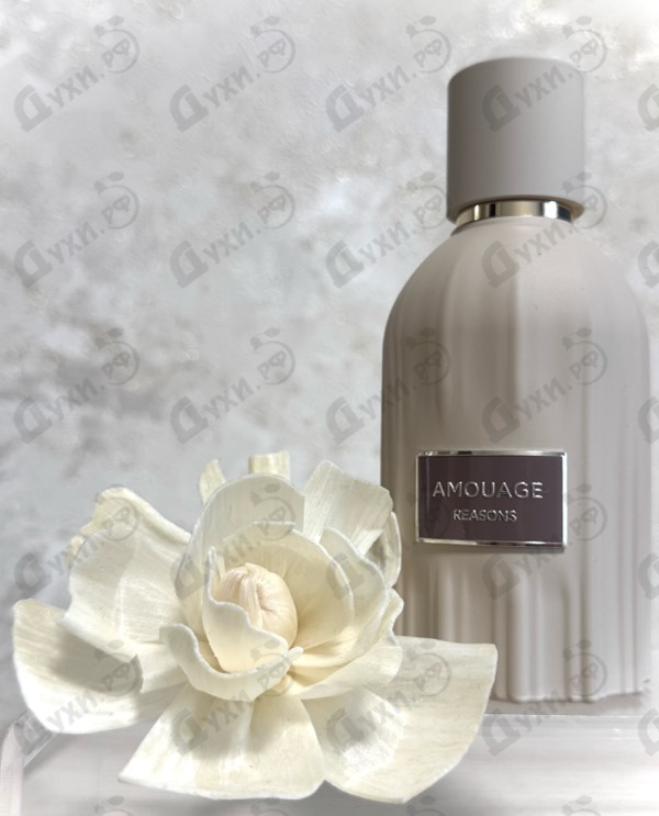Парфюмерия Reasons от Amouage