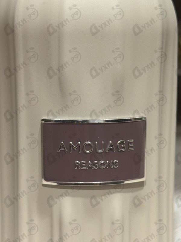 Парфюмерия Reasons от Amouage