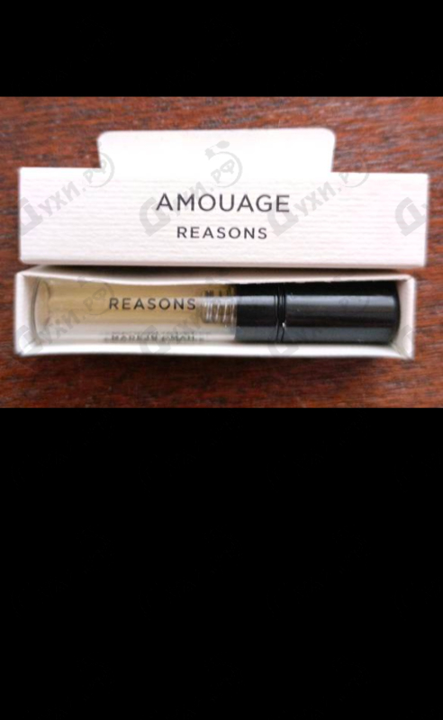 Купить Reasons от Amouage