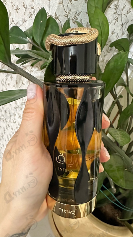 Отзывы Lattafa Perfumes Teriaq Intense