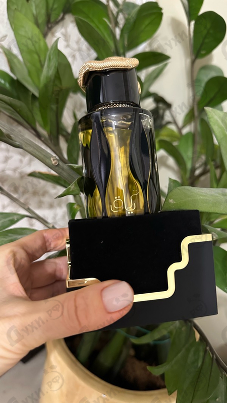 Отзыв Lattafa Perfumes Teriaq Intense