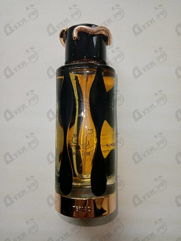 Парфюмерия Teriaq Intense от Lattafa Perfumes