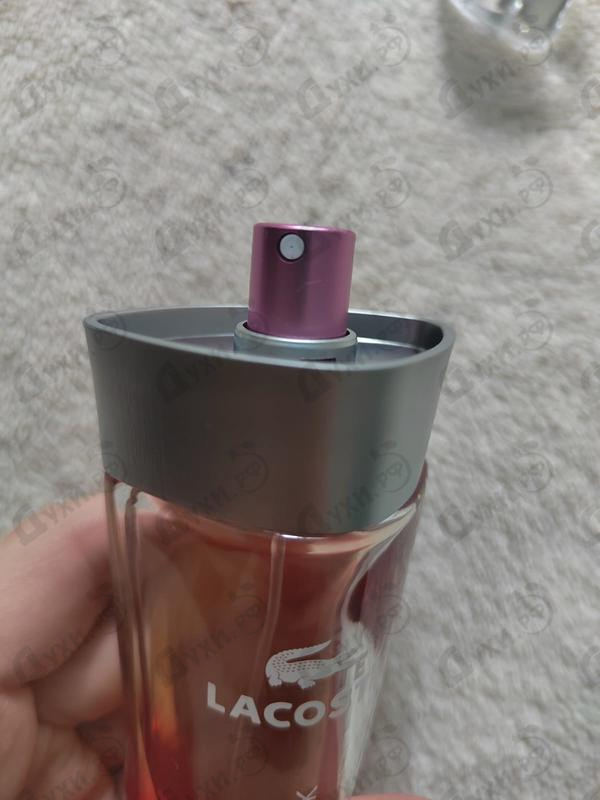 Купить Touch Of Pink от Lacoste