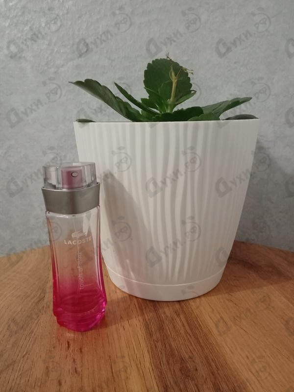 Купить Touch Of Pink от Lacoste