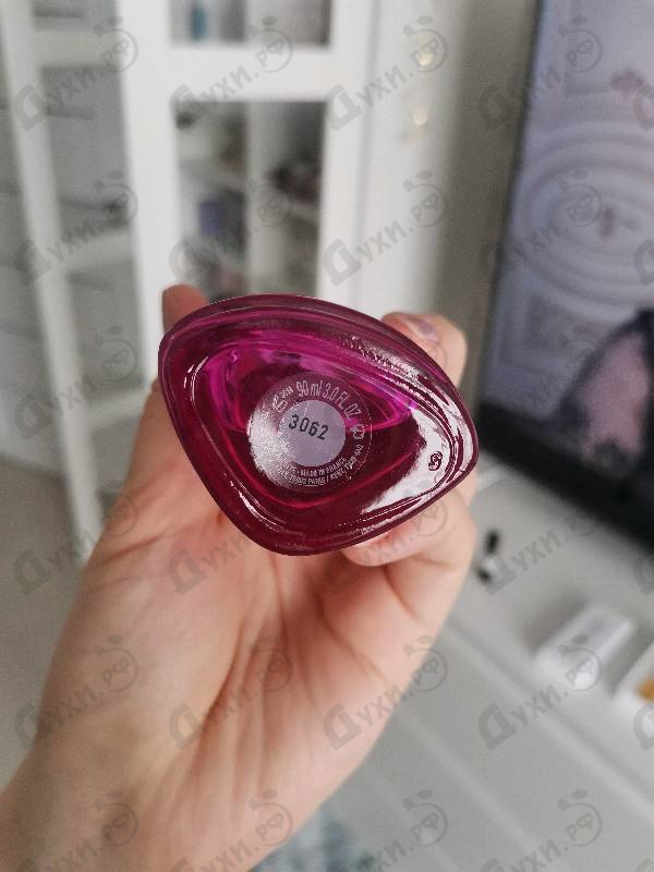 Купить Lacoste Touch Of Pink