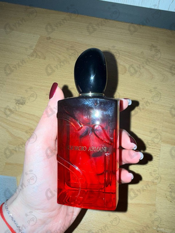 Купить Si Passione Intense (2024) от Giorgio Armani