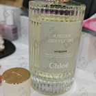 Отзыв Chloe Hysope