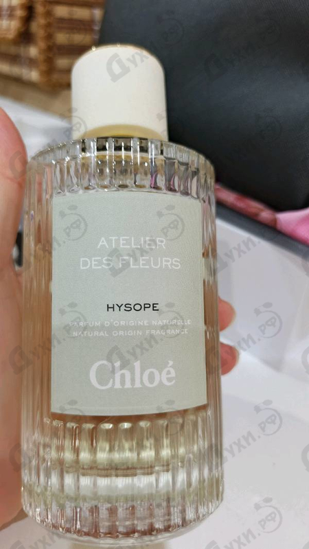 Купить Chloe Hysope