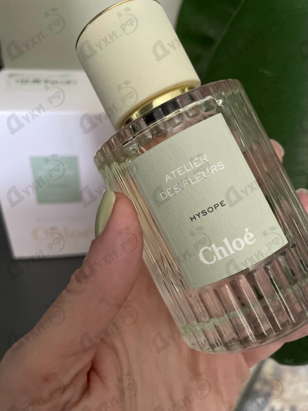 Парфюмерия Hysope от Chloe