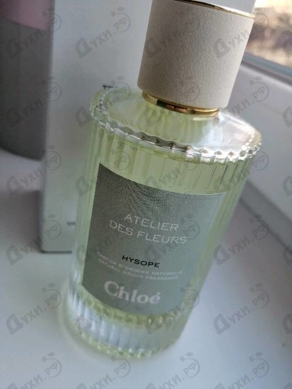 Купить Hysope от Chloe