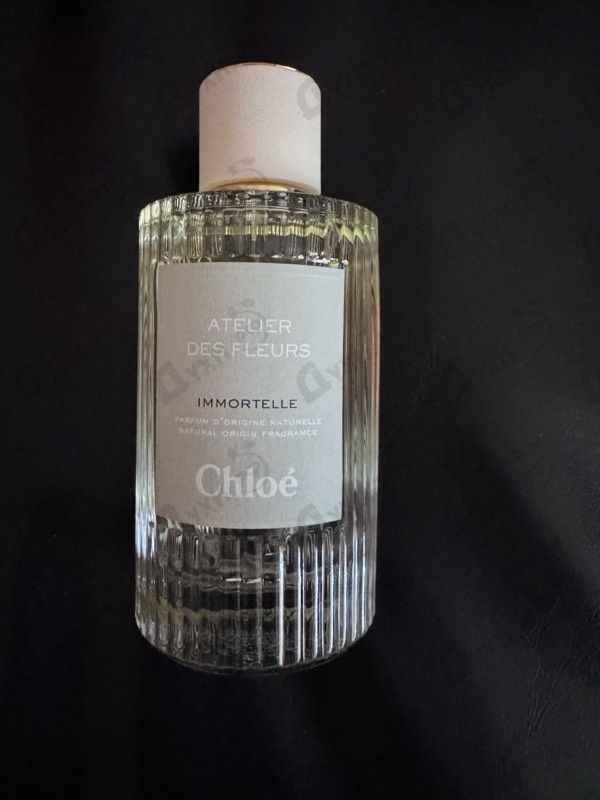 Купить Chloe Immortelle