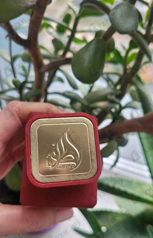 Духи Bade'e Al Oud Sublime от Lattafa Perfumes