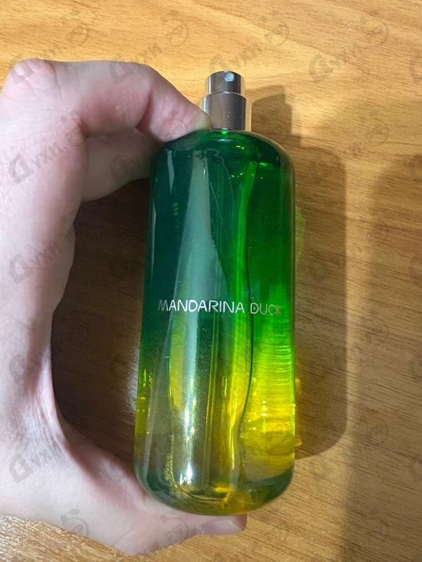 Купить Mandarina Duck The Mandariners