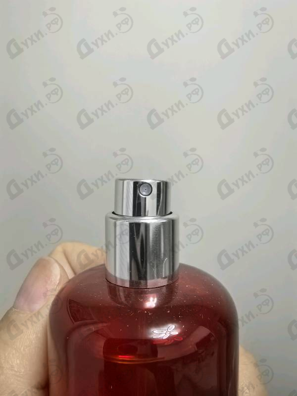 Духи The Mandariners от Mandarina Duck