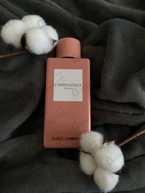 Отзыв Dolce & Gabbana L'Imperatrice Royale