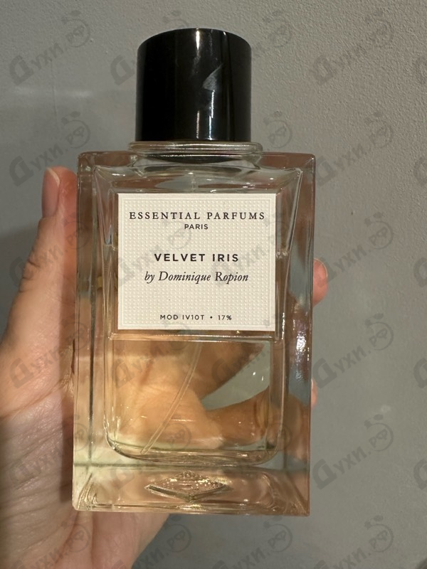 Купить Velvet Iris от Essential Parfums