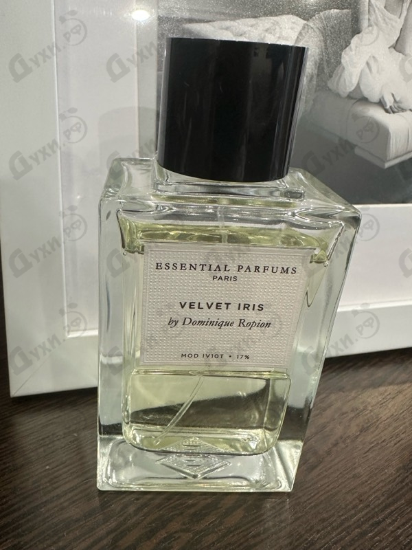 Купить Velvet Iris от Essential Parfums