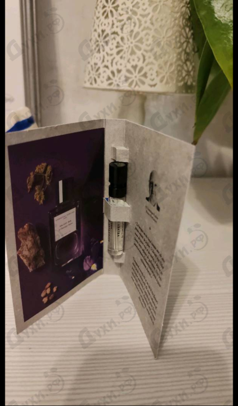 Купить Velvet Iris от Essential Parfums