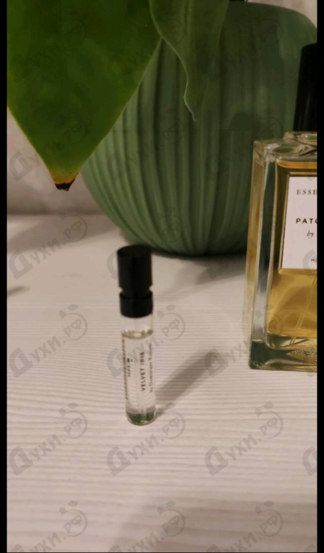 Духи Velvet Iris от Essential Parfums