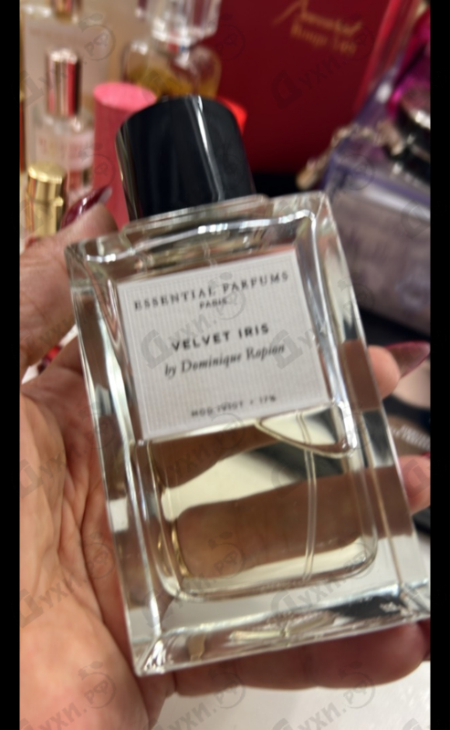 Купить Velvet Iris от Essential Parfums