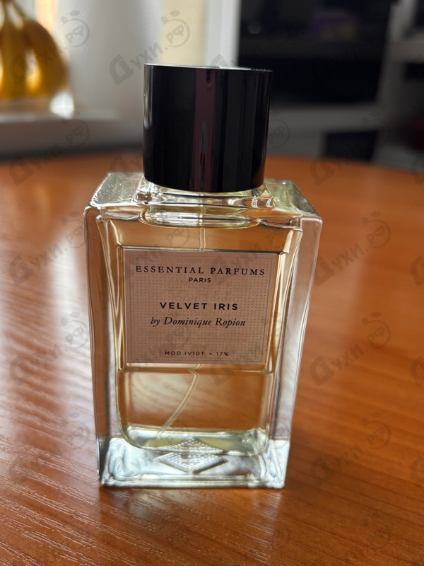 Купить Velvet Iris от Essential Parfums