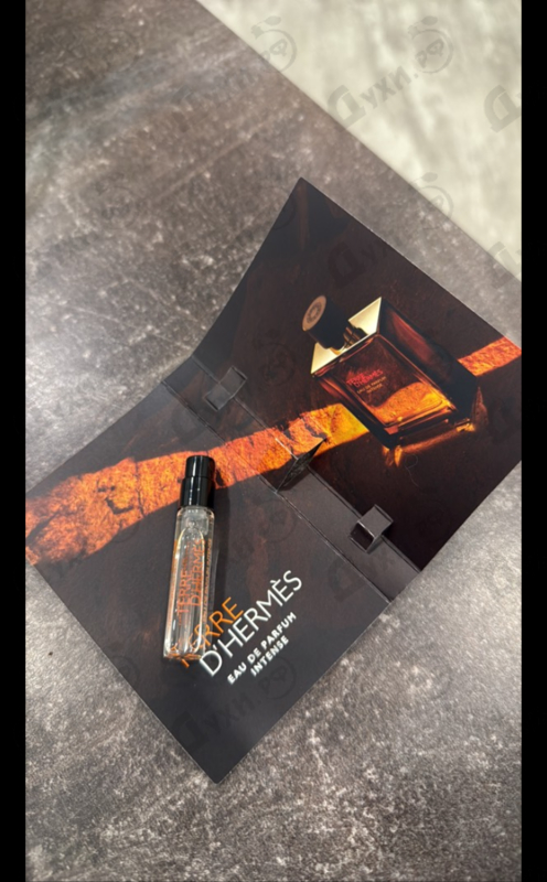 Купить Terre D'Hermes Eau De Parfum Intense от Hermes