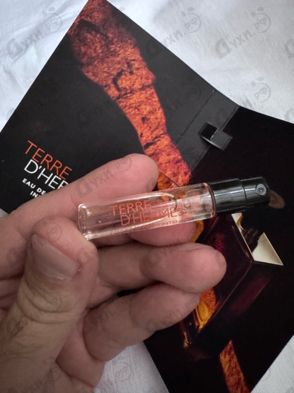 Парфюмерия Hermes Terre D'Hermes Eau De Parfum Intense